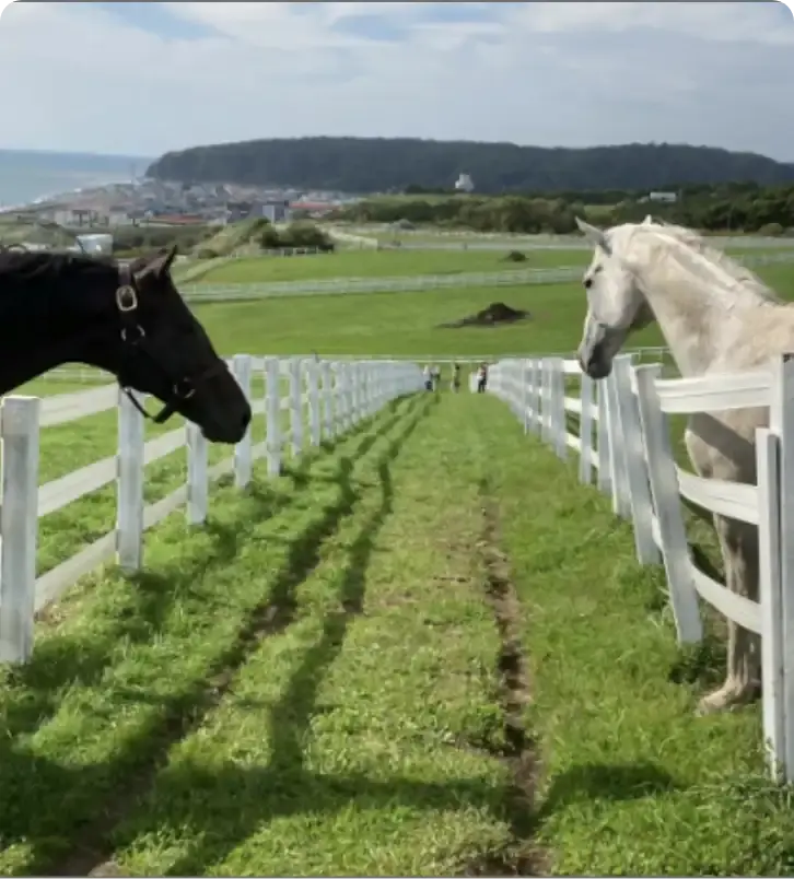 北海道牧場見学の旅